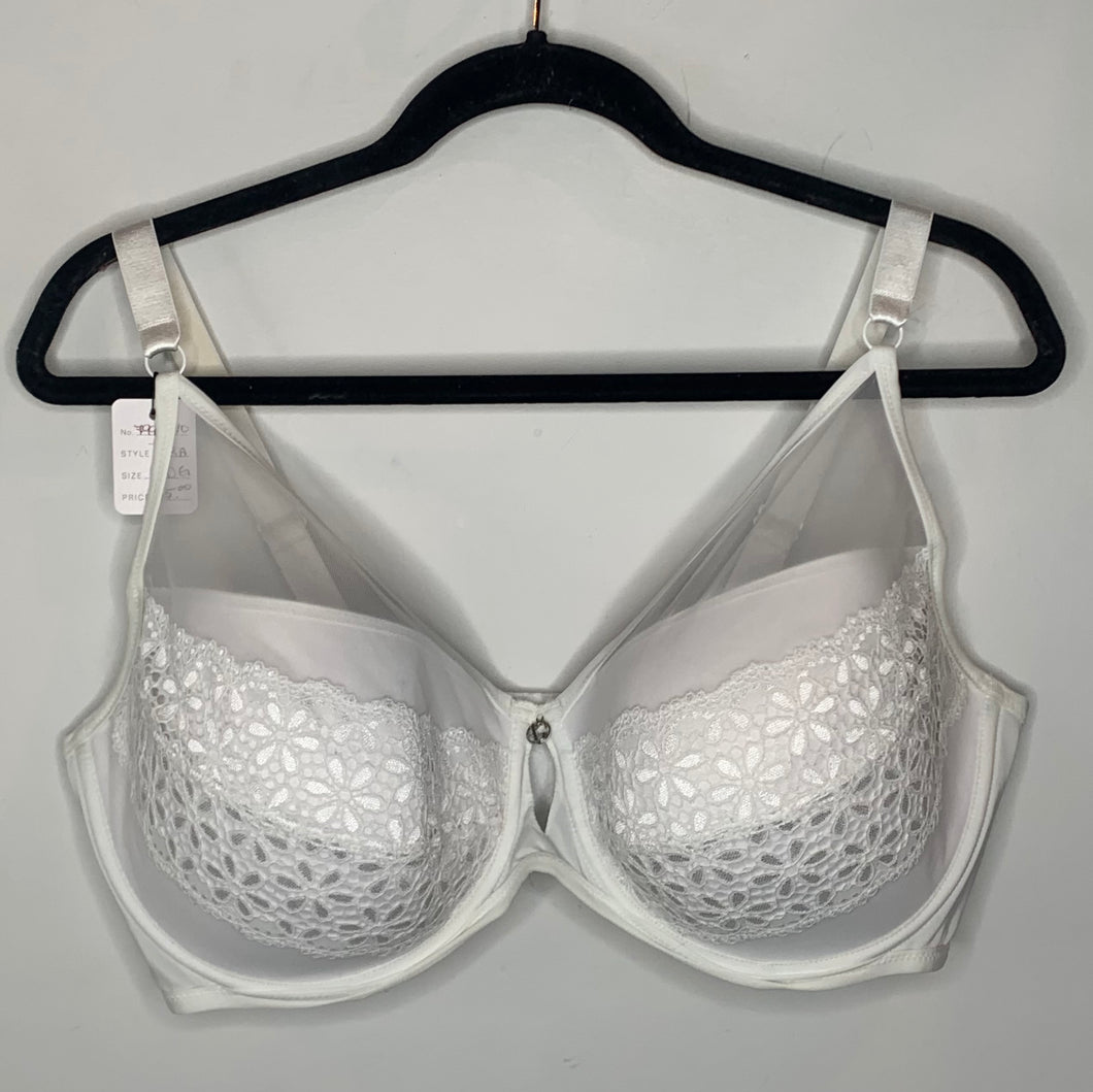 White Lace and Mesh Bra